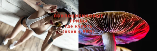гидропоника Абдулино